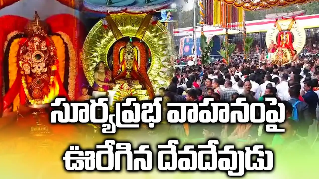 తిరుమలలో రథసప్తమి వేడుక.. సూర్యప్రభ వాహనంపై శ్రీవారు