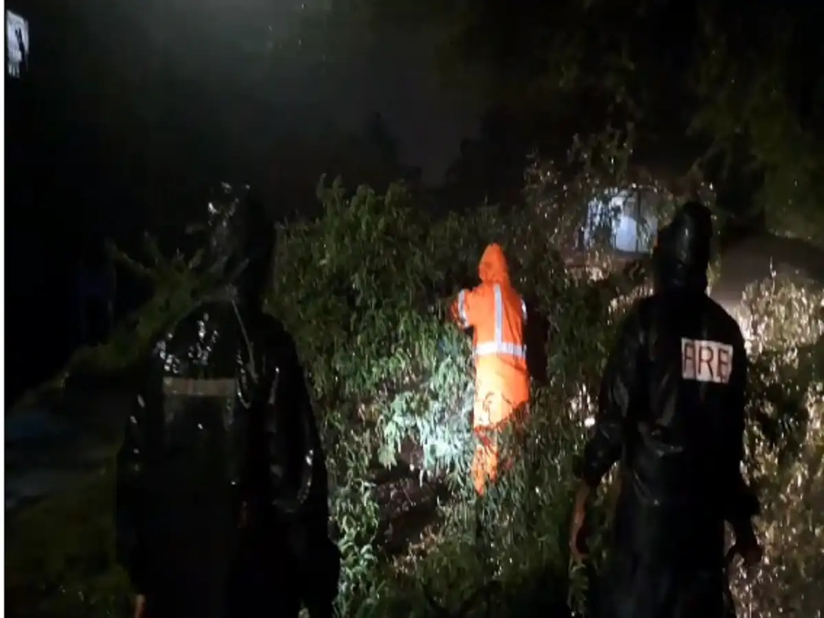 காஞ்சிபுரத்தில் வெளுத்து வாங்கிய கனமழை...ராட்சத மரம் சாலையில் விழுந்ததால் பரபரப்பு! 