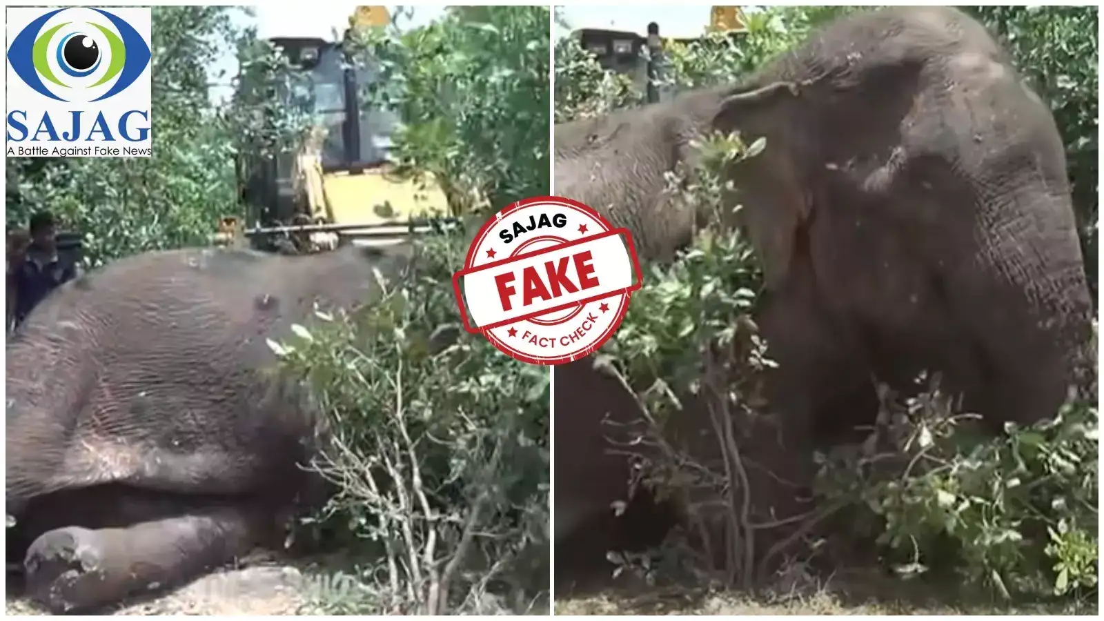 కంచ గచ్చిబౌలి భూముల్లో గాయపడ్డ ఏనుగును జేసీబీతో తొలగించారా.. ఈ వీడియో ఎక్కడిది?