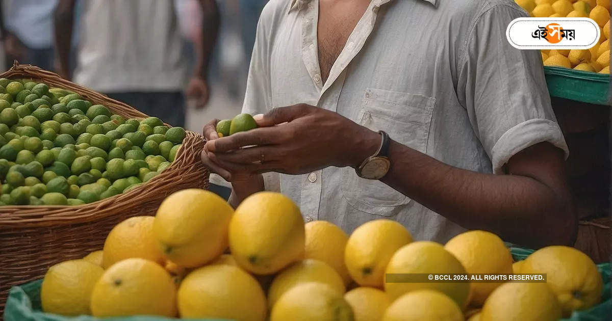 Summer Season In Kolkata,কড়া রোদে গাছে নষ্ট ফুল, ভাত-পাতে লেবুও ‘লাক্সারি’ – lemon price hike due to summer season in kolkata market