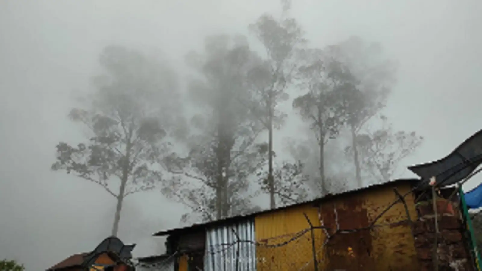 ஏற்காட்டில் பனிமூட்டம்... சுற்றுலா பயணிகளின் வருகை அதிகரிப்பு! 