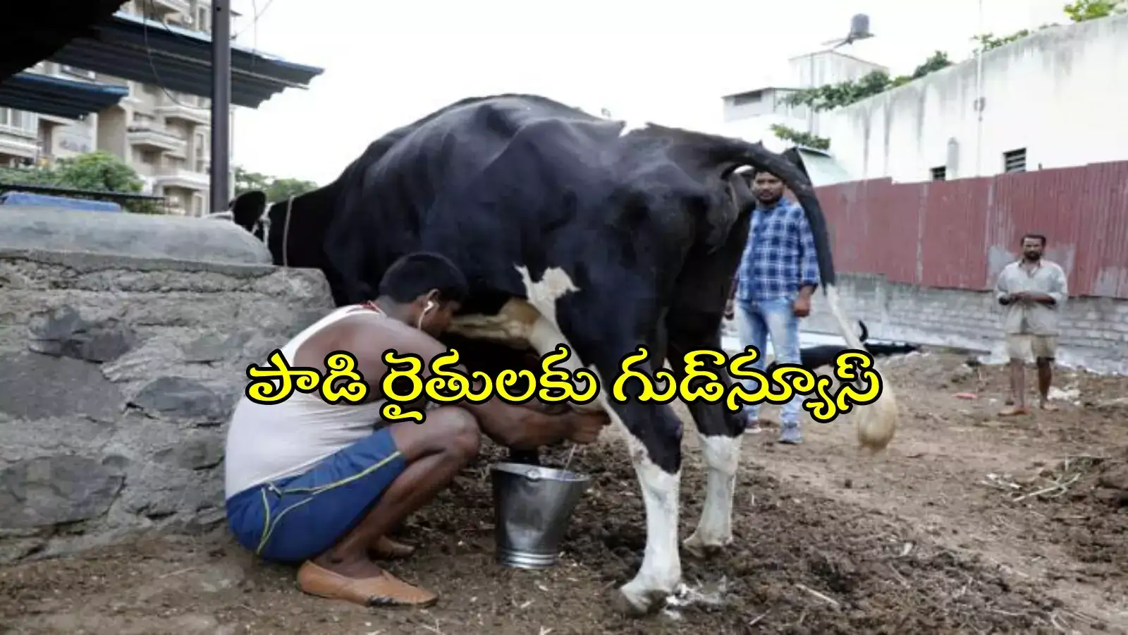 పాడి రైతులకు శుభవార్త... రూ.50 కోట్లు విడుదల, త్వరలో అకౌంట్లలోకి డబ్బులు