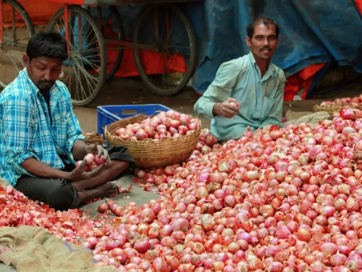ரூ.30க்கு வெங்காயம் விற்பனை : எங்கெல்லாம் தெரியுமா? அமைச்சர் வெளியிட்ட அதிரடி அறிவிப்பு! 