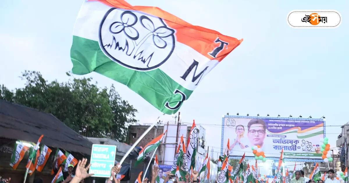 Lok Sabha Election Result 2024 : বহু বিধানসভা কেন্দ্রের রাজনৈতিক সমীকরণ পাল্টে গেল লোকসভার রেজাল্টে – west bengal political equation change after lok sabha election 2024 result out