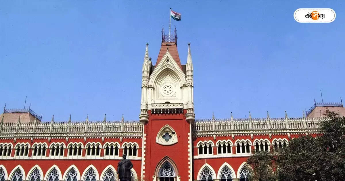 Calcutta High Court : বারের ভোটের ফল ঠিক হবে মামলার রায়ে – calcutta high court interferes in bar association vote