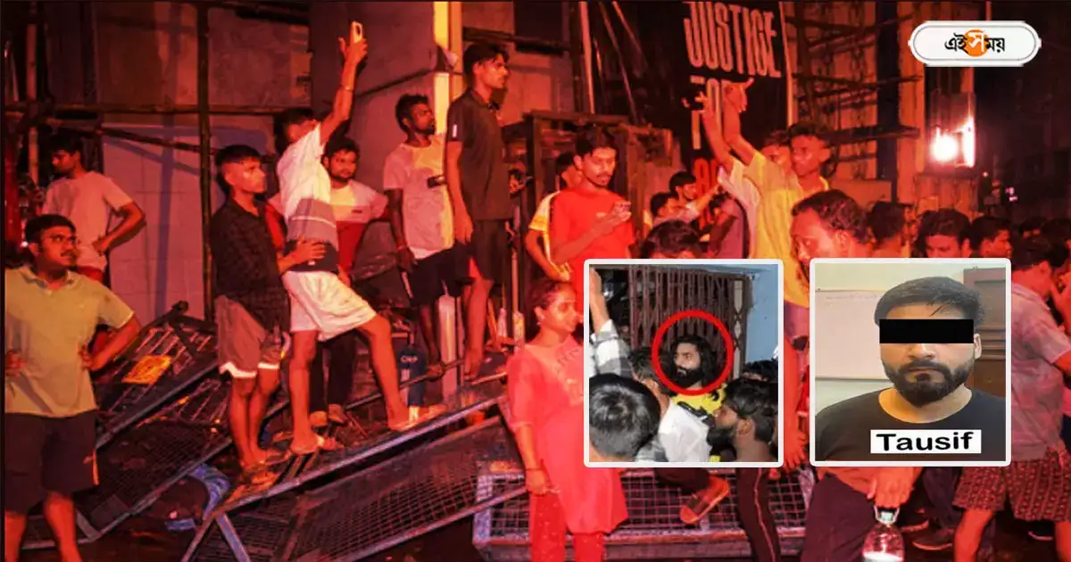 Kolkata Police,চুল ছেঁটেও হয়নি শেষরক্ষা, আরজি করে হামলার ঘটনায় ধৃত বেড়ে ৩০ – kolkata police arrested 30 people in rg kar hospital attack case
