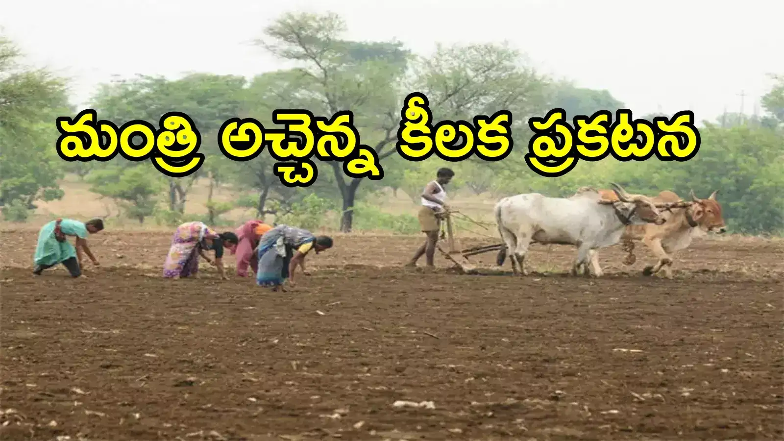 ఏపీలో ఒక్కో రైతు అకౌంట్‌లో రూ.20వేలు.. అన్నదాత సుఖీభవ పథకంపై కీలక ప్రకటన