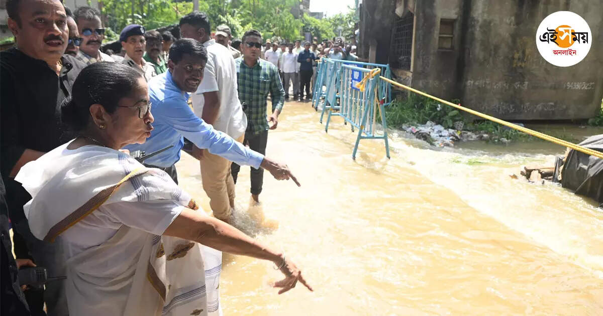 Cm Mamata Banerjee,‘ডুবিয়ে ছাড়বে’ দামোদরে জল দেখে মন্তব্য মুখ্যমন্ত্রীর – cm mamata banerjee seen situation durgapur barrage after water release