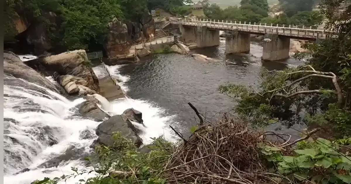 மணிமுத்தாறு அருவிக்கு செல்ல தடை.. வனத்துறை அதிரடி உத்தரவு.. சுற்றுலாப் பயணிகள் ஏமாற்றம்! 