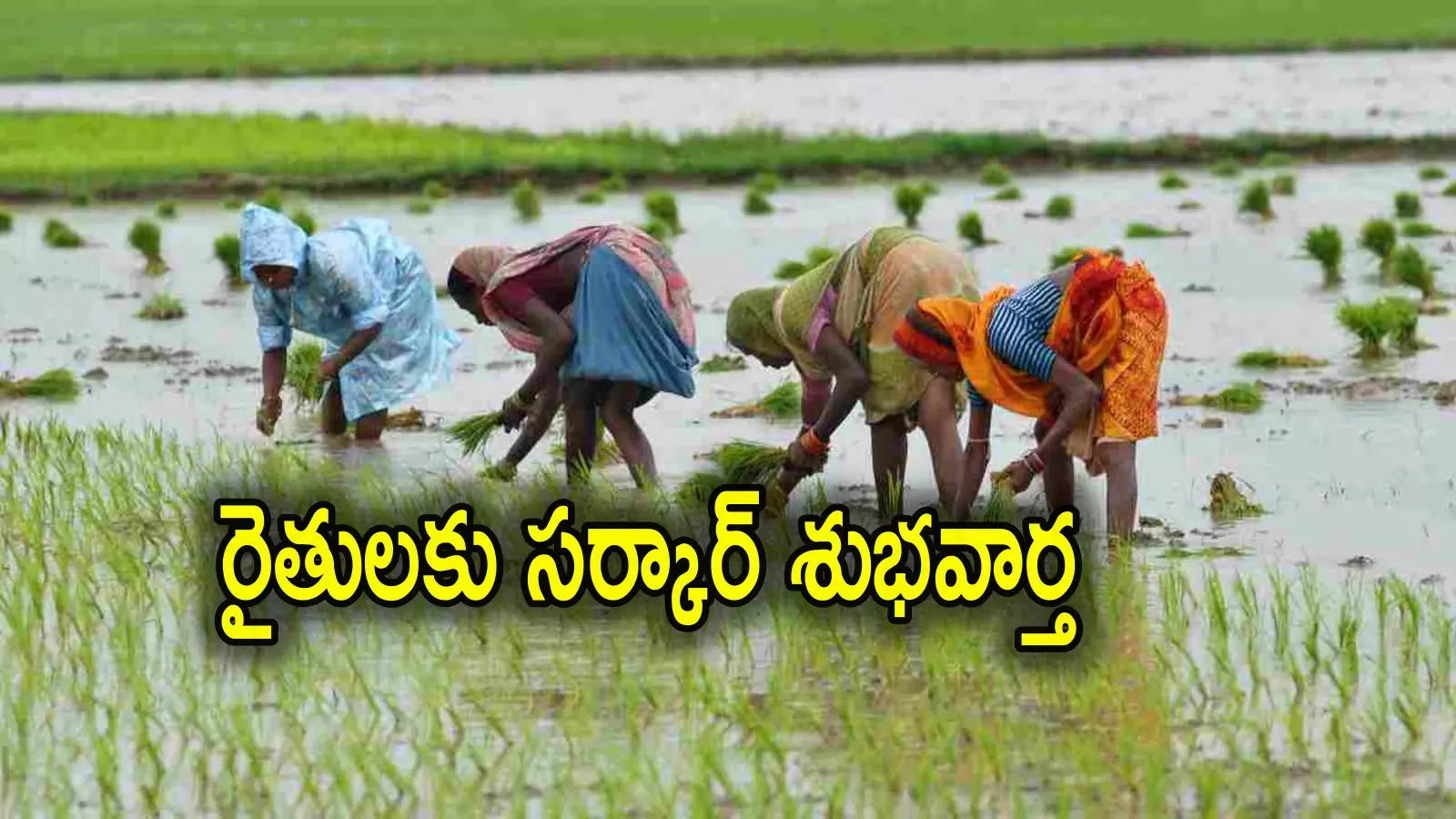 Uchitha Pantala Bheema: ఆంధ్రప్రదేశ్‌లో రైతులందరికీ గుడ్‌న్యూస్.. ఇక నుంచి 2019 కంటే ముందున్న విధానమే