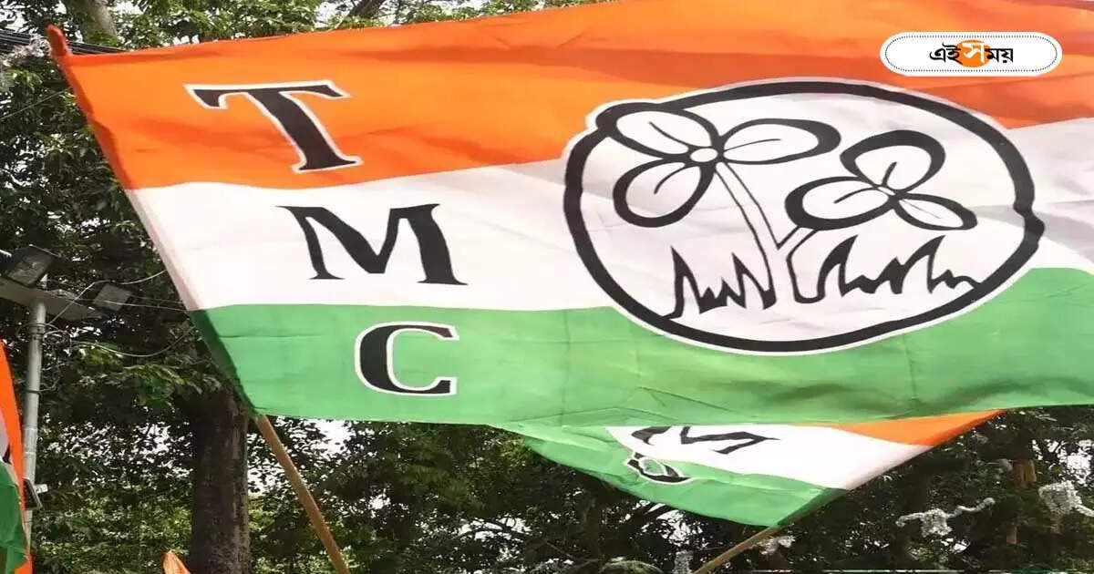 তৃণমূল কংগ্রেস : জনসমর্থনে ভাটা? মানুষের মন বুঝতে রাজ্য জুড়ে ৫০০-র বেশি বিজয়া সম্মিলনী তৃণমূলের – trinamool congress planned for bijoya sammilani in every districts before loksabha election