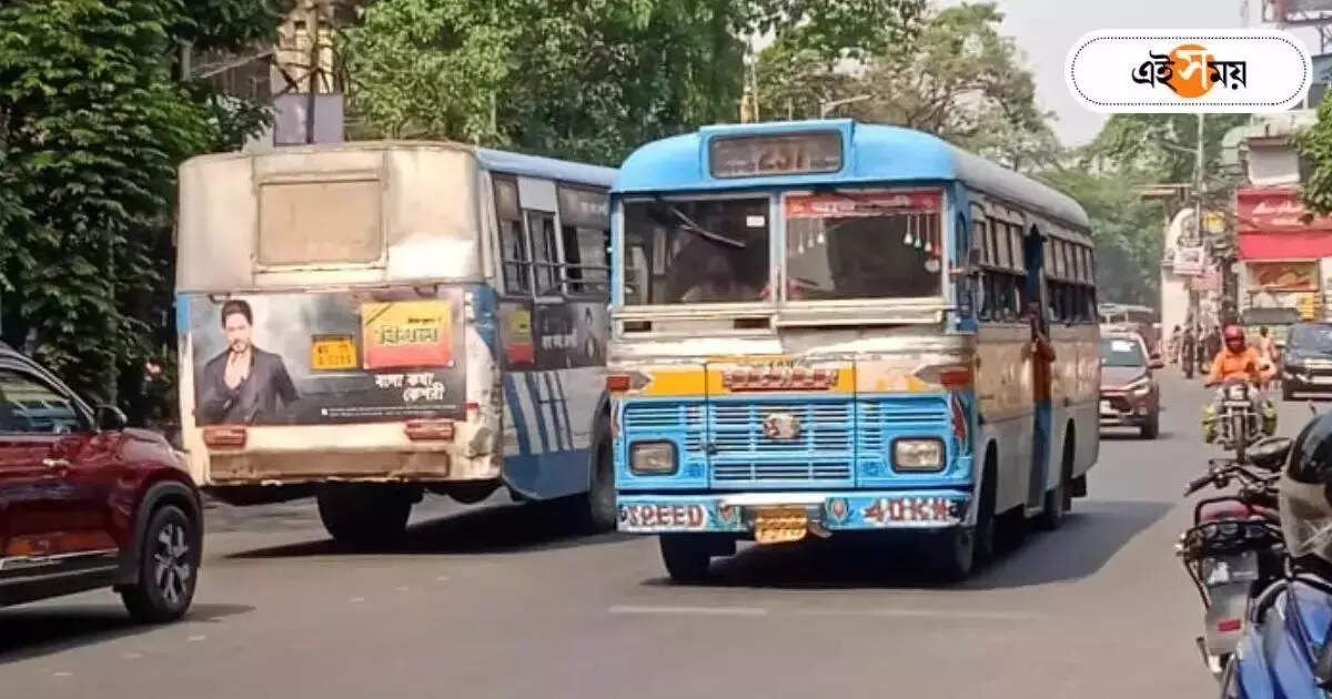 Bus Service In Kolkata : পারমিট ছাড়া কলকাতায় চলবে না কোনও বাস, কড়া নির্দেশ হাইকোর্টের – calcutta high court orders no bus will run in kolkata without permit