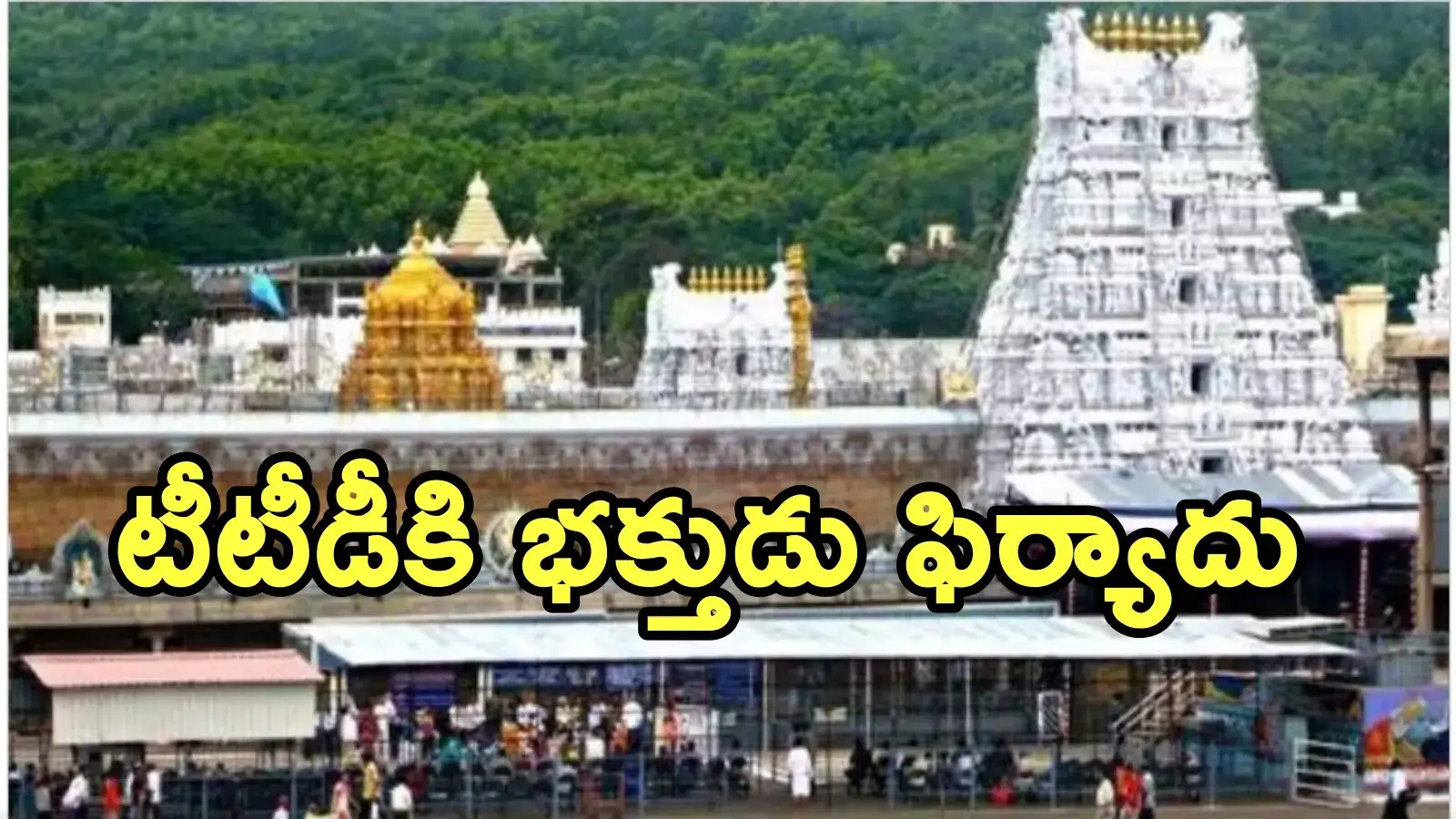 Tirumala: బ్లాక్‌లో వీఐపీ బ్రేక్ దర్శన టిక్కెట్లు.. వైసీపీ ఎమ్మెల్సీ‌పై కేసు