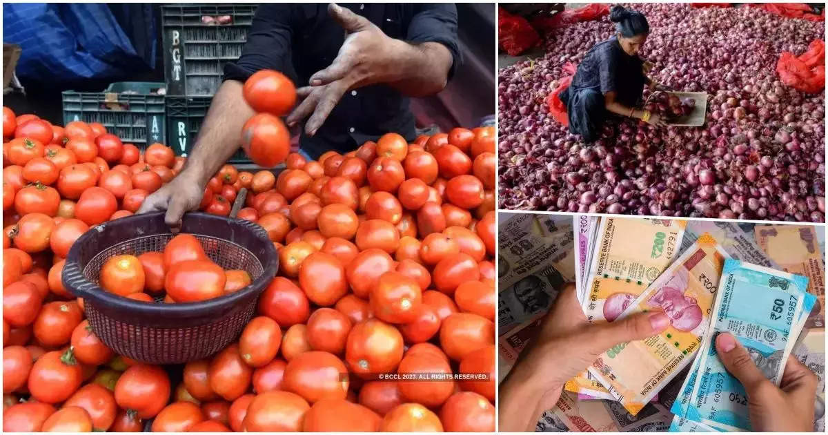 टोमॅटोचा ‘रुबाब’ पुन्हा वाढला!आवक घटल्याने दर वाढले, किलोला मोजावे लागतायेत इतके रुपये