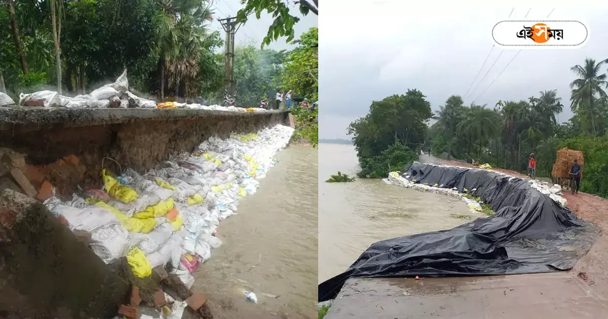 Howrah News : টানা বৃষ্টিতে হুগলি নদী বাঁধে ভাঙন, আতঙ্কিত উলুবেড়িয়ার বিস্তীর্ণ অঞ্চলের বাসিন্দারা – uluberia municipality are in panic due to hooghly river dam collapse Howrah News : টানা বৃষ্টিতে হুগলি নদী বাঁধে ভাঙন, আতঙ্কিত উলুবেড়িয়ার বিস্তীর্ণ অঞ্চলের বাসিন্দারা – uluberia municipality are in panic due to hooghly river dam collapse