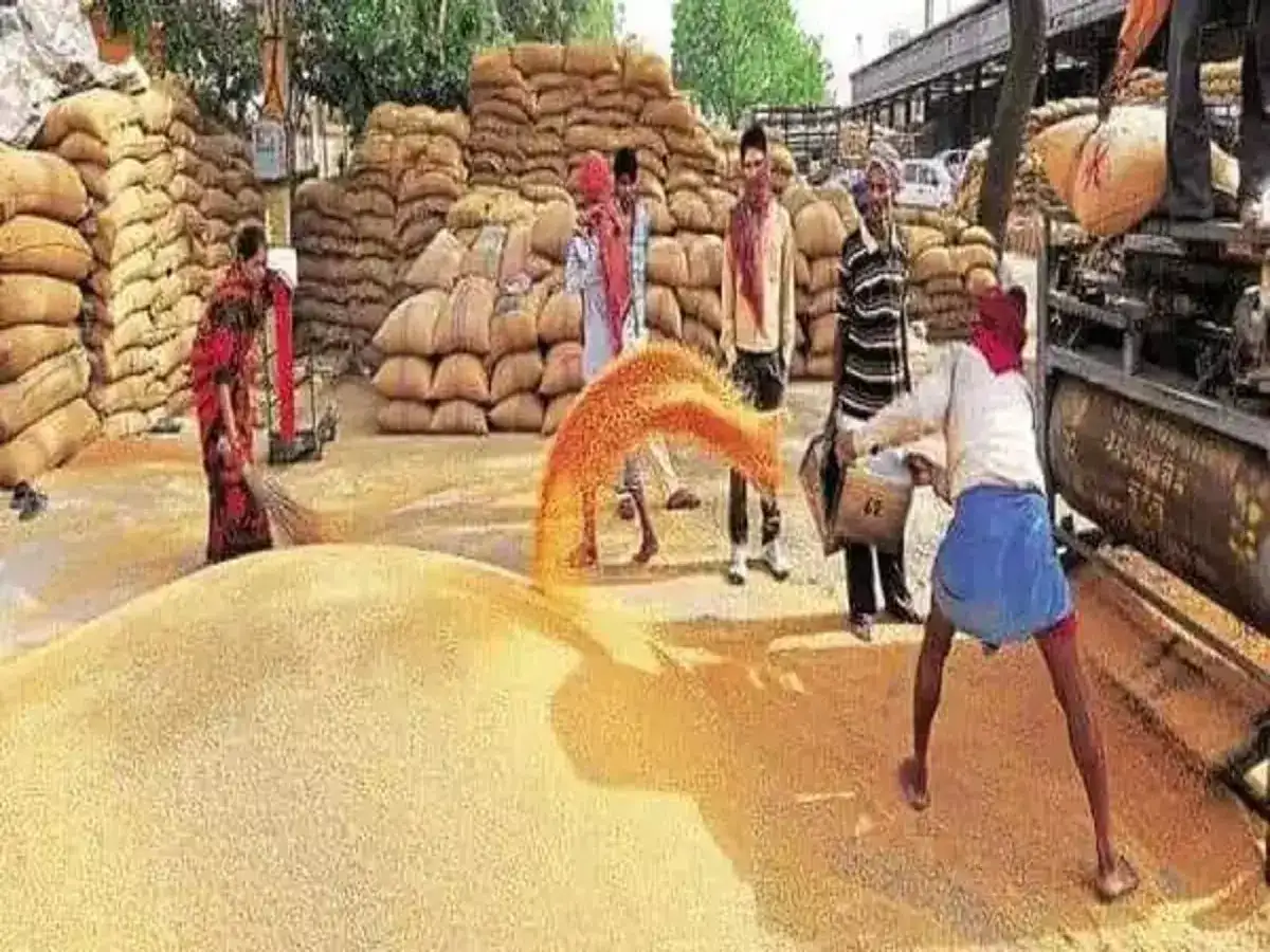 கோதுமை விலை வரலாறு காணாத உயர்வு.. வெளியான அதிர்ச்சி ரிப்போர்ட்! 