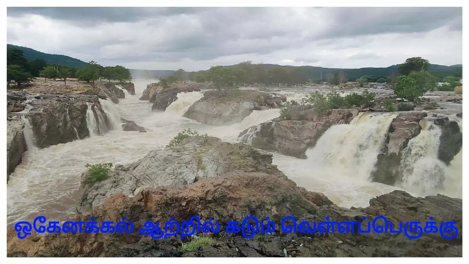 ஒகேனக்கல் ஆற்றில் அதிகரிக்கும் வெள்ளப்பெருக்கு- பொதுமக்களுக்கு 3-வது நாளாக அனுமதி இல்லை! 