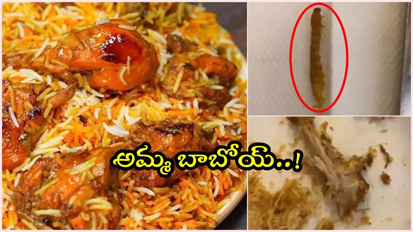 చికెన్ బిర్యానీ ఆర్డర్ ఇచ్చిన కస్టమర్‌కు షాక్.. సగం తిన్నాక కనిపించింది చూసి.. అమ్మ బాబోయ్..!