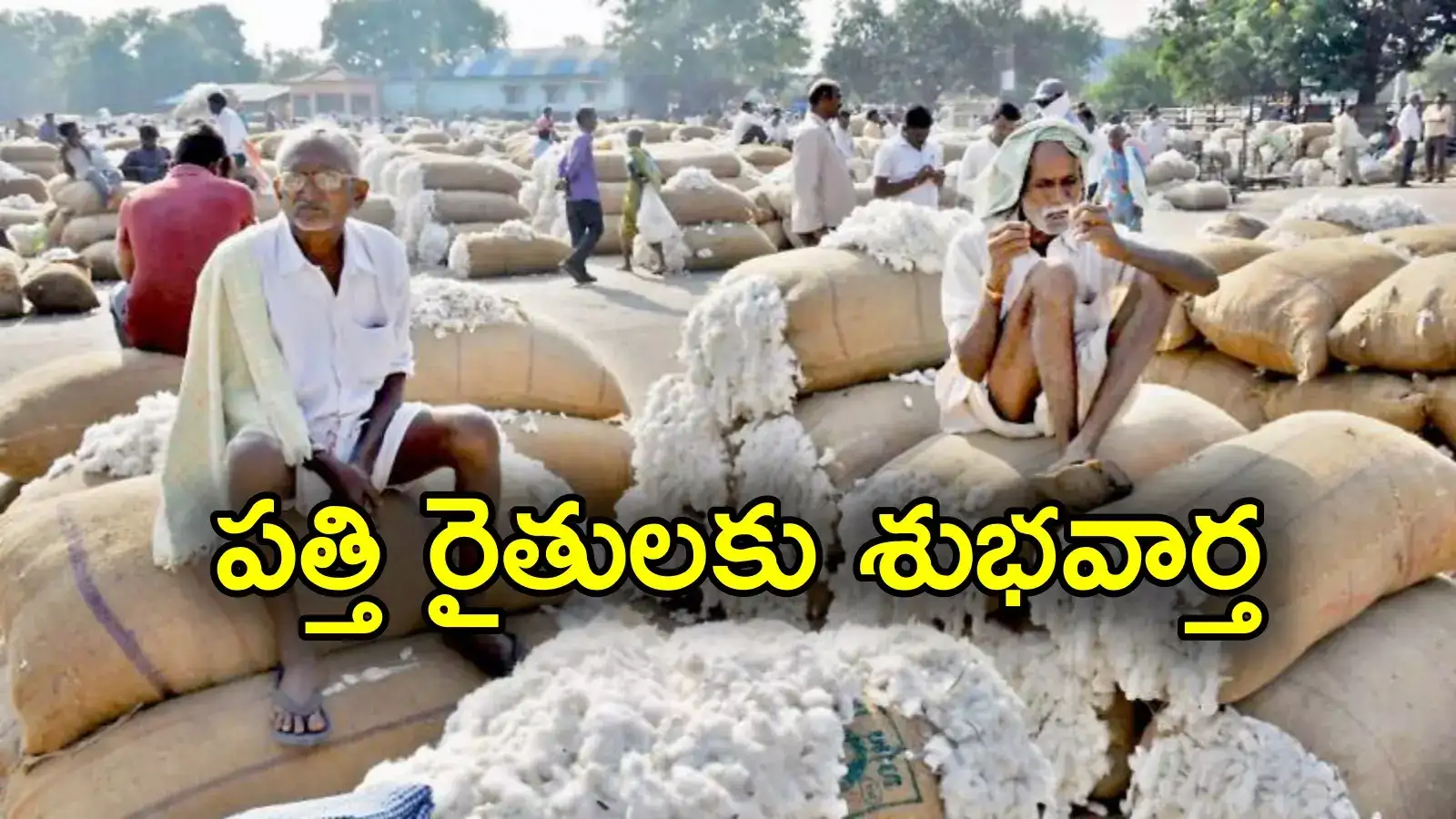 Telangana Govt: తెలంగాణలో పత్తి రైతులకు గుడ్‌న్యూస్.. ఇక ఆ సమస్యలకు చెక్..!