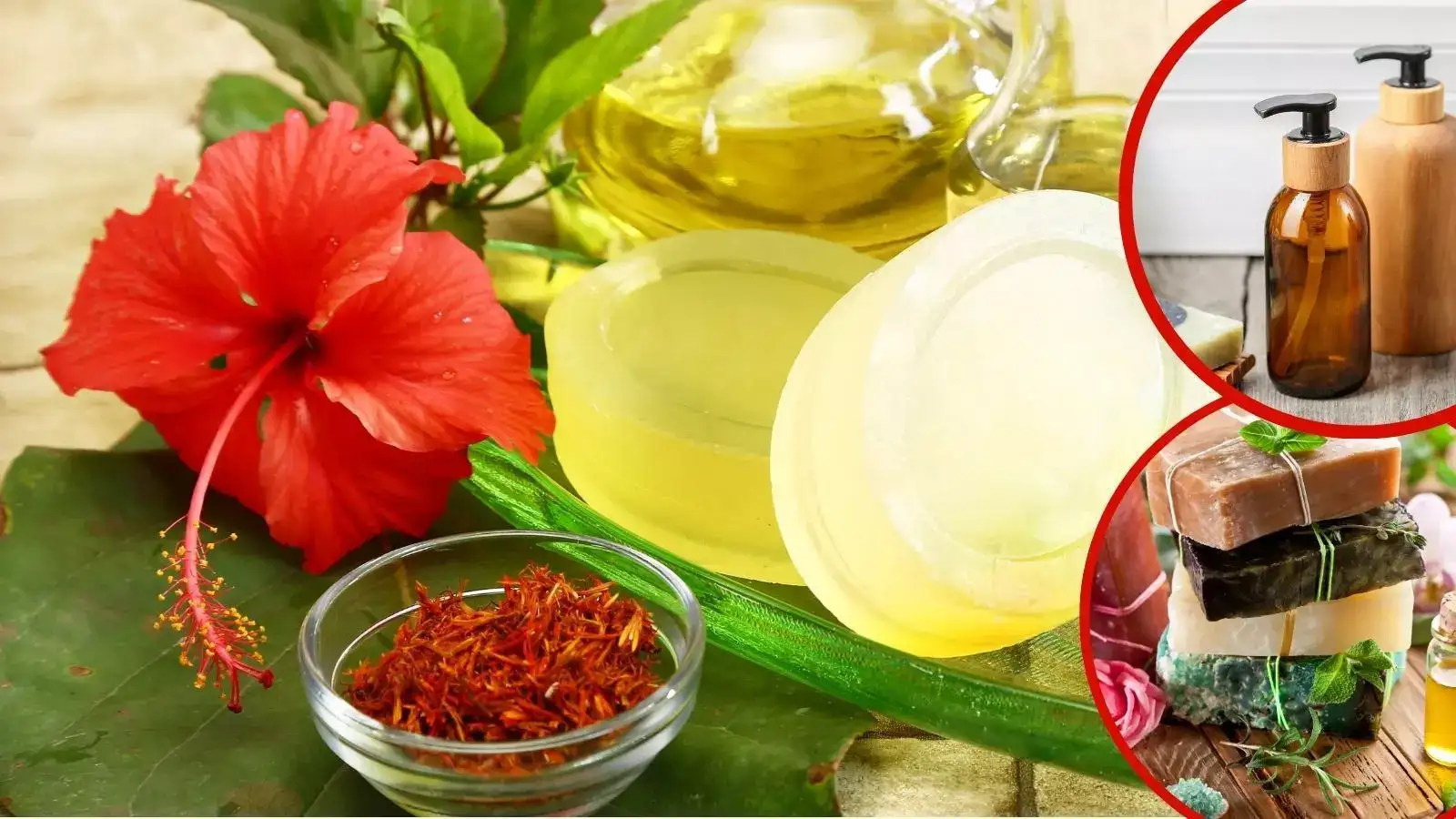 இயற்கை சோம்பு, ஷாம்பு தயாரிக்க தமிழ்நாடு அரசு பயிற்சி; 3 நாட்களுக்கு நடத்த ஏற்பாடு - பதிவு செய்வது எப்படி? 