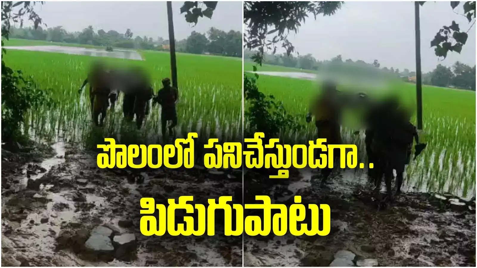 తిరుపతి జిల్లాలో విషాదం.. పిడుగు పడి పొలంలో పనిచేస్తున్న ఇద్దరు కూలీలు మృతి