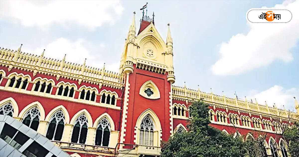 Primary Education Department West Bengal : ভুল তথ্য, উদ্ধত আচরণ! ২ ডিআইকে সরানোর নির্দেশ বিচারপতির – calcutta high court ordered the removal of two district school inspector on the same day