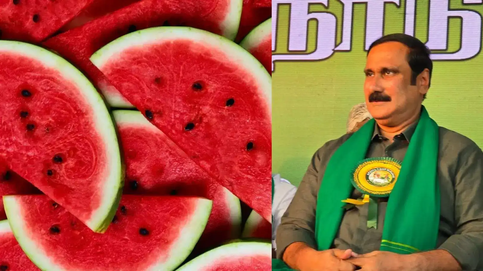 அதிகாரி வெளியிட்ட வீடியோ.. படுத்த தர்பூசணி வியாபாரம்.. கலக்கத்தில் விவசாயிகள்.. அன்புமணி வேதனை! 