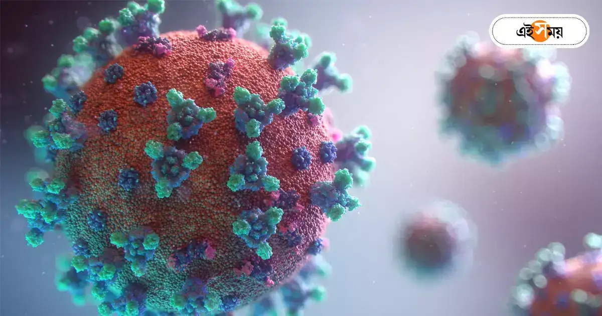Zika Virus : মহারাষ্ট্রে বাড়ছে সংক্রমণ, জ়িকা-সতর্কতা বাংলাকেও – ministry of health guidelines regarding zika virus in west bengal Zika Virus : মহারাষ্ট্রে বাড়ছে সংক্রমণ, জ়িকা-সতর্কতা বাংলাকেও – ministry of health guidelines regarding zika virus in west bengal