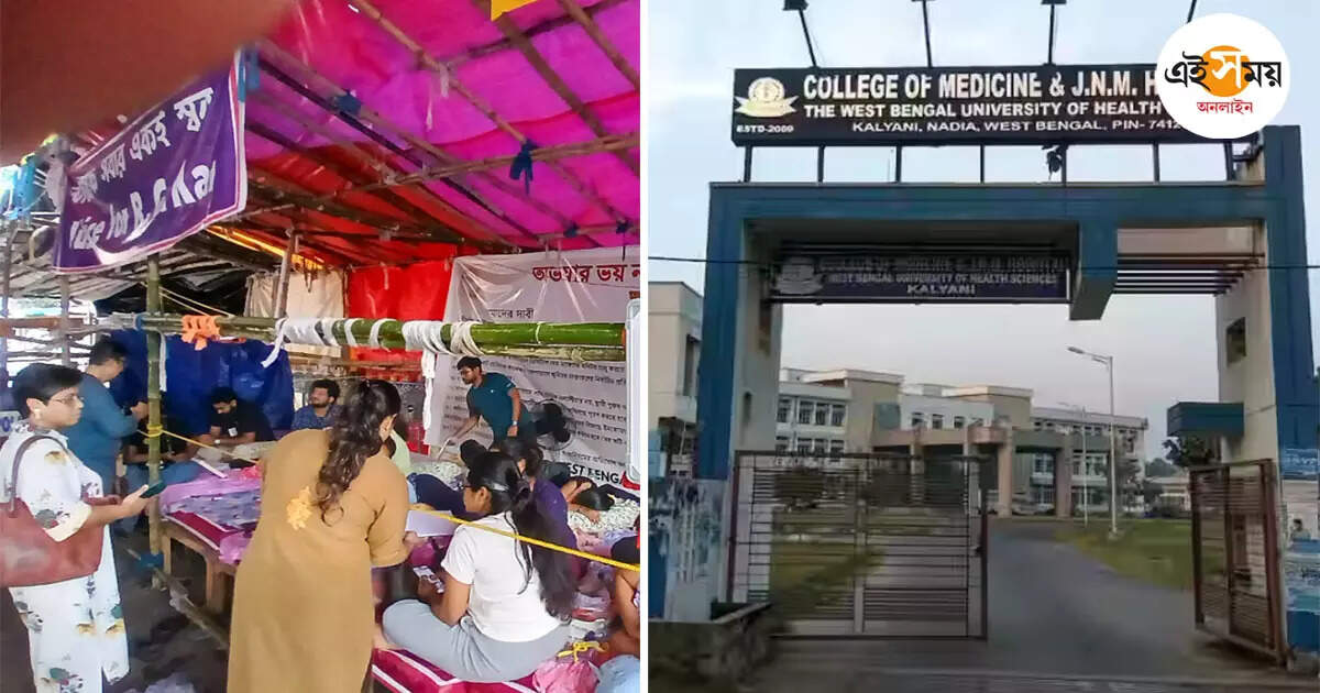 Junior Doctors Hunger Strike,গণইস্তফা দিলেন কল্যাণী মেডিক্যালের সিনিয়র চিকিৎসকেরা, অনশনে অনড় জুনিয়ররা – kalyani jnm hospital senior doctors gave mass resignation supporting juniors