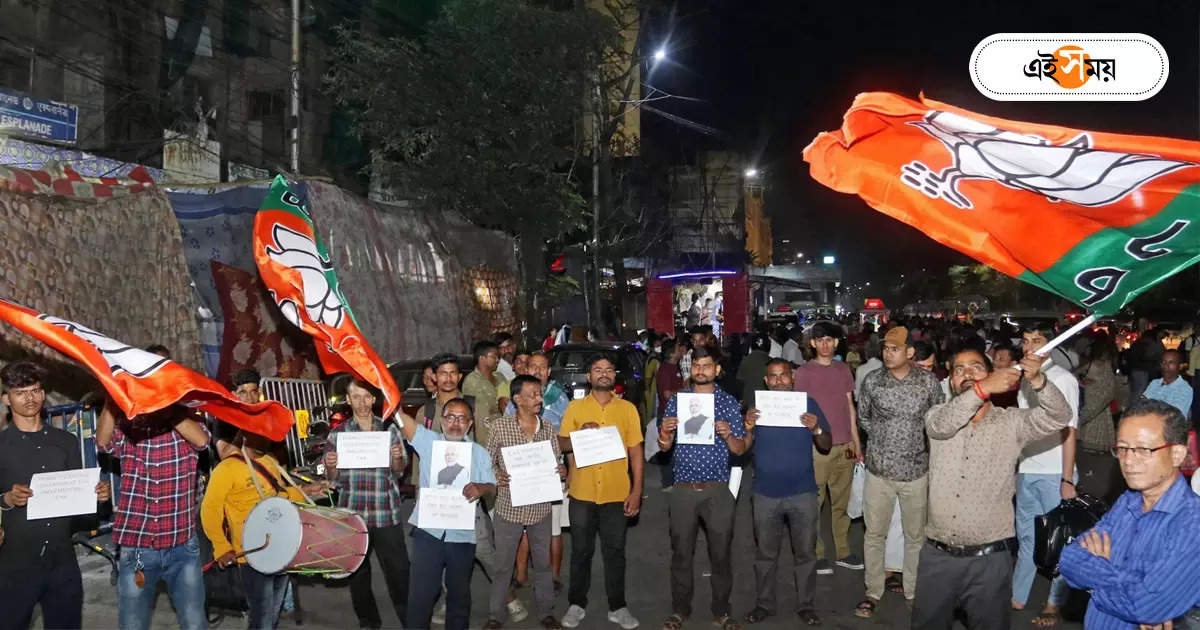 Bharatiya Janata Party : তৃণমূলকে ছাড় না দিয়ে ‘ডিফিট বিজেপি’র ডাক – lok sabha elections tmc workers start campaign against bjp