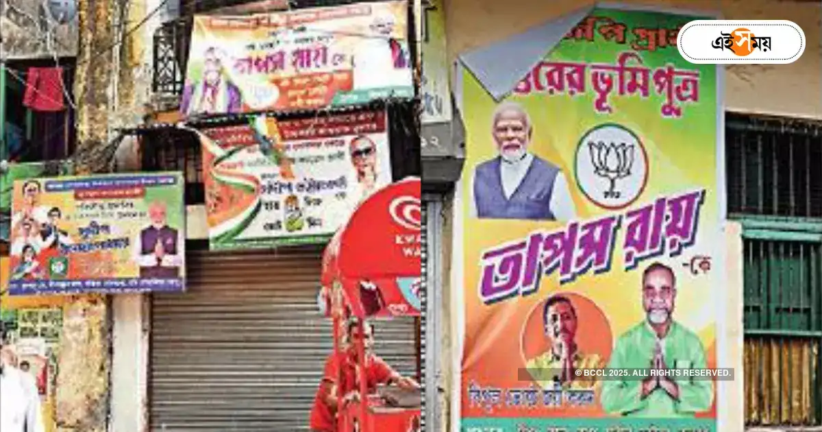Lok Sabha Election 2024,দূষণ জেনেও খরচ কমাতে ভরসা সেই ভিনাইল ফ্লেক্স-ই – political parties are campaign with low cost flex in lok sabha election even though environment polluted