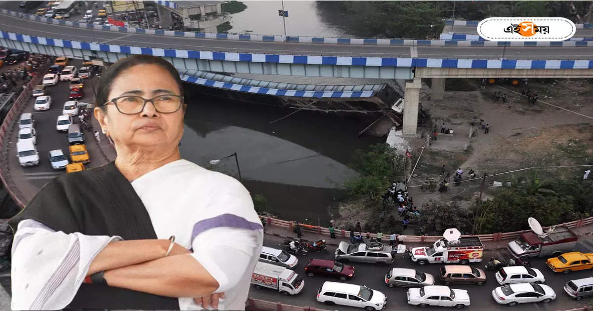 Kolkata Flyover : ইএম বাইপাসে আর নয় যানজট, বিমানবন্দর নিমেষেই! নয়া উড়ালপুল কলকাতায় – kolkata em bypass road new flyover including gangasagar and bardhaman new bridge announced in west bengal budget