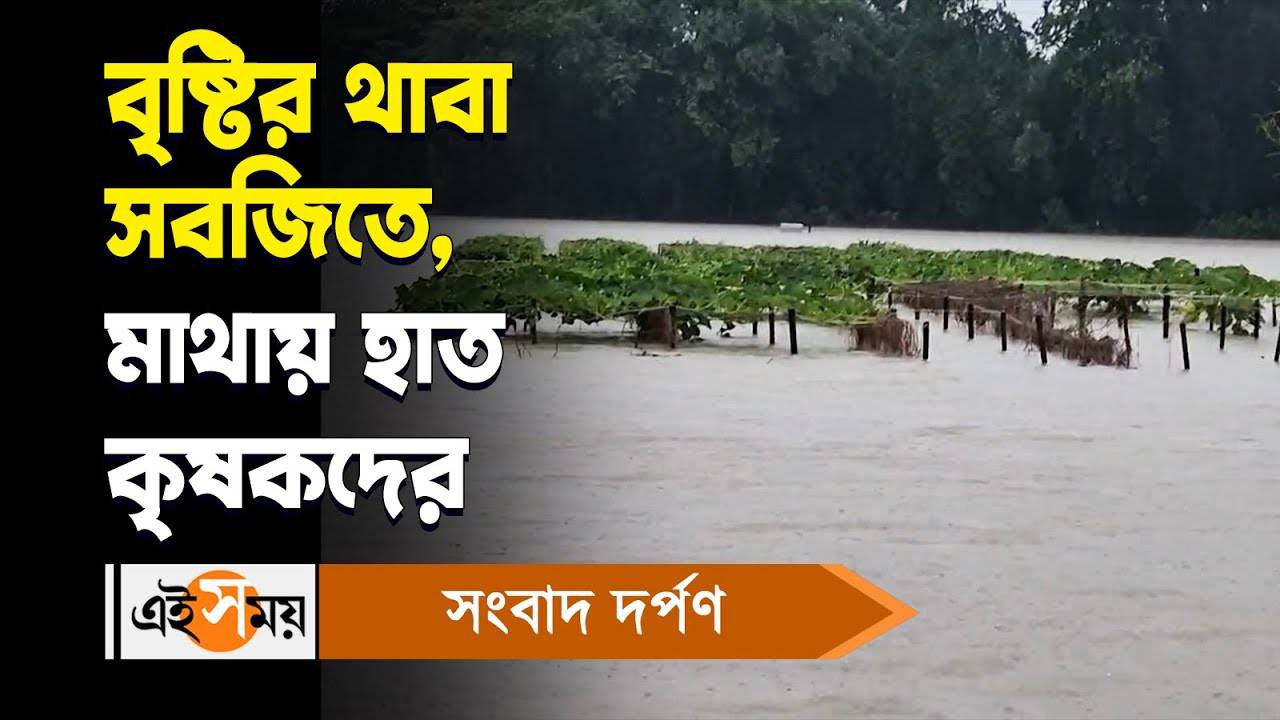 Bankura Water Logging : বৃষ্টির থাবা সবজিতে, মাথায় হাত কৃষকদের – farmers are worried about huge loss after water logging situation due to heavy rainfall in bankura watch video