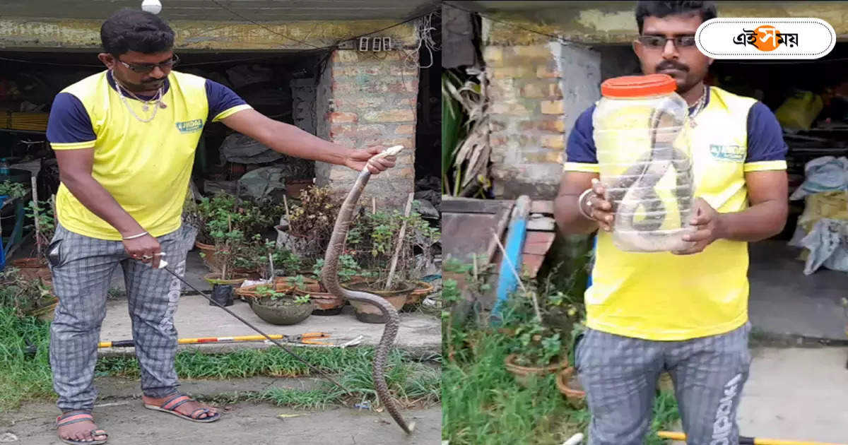 Snake Catcher : ইউটিউব দেখেই প্রশিক্ষণ! সাপ বেরোলেই ডাক পড়ে ‘স্নেকম্যান’ প্রলয়ের – snake catcher pralay ghosh helps households to hunter snakes at kolaghat purba medinipur