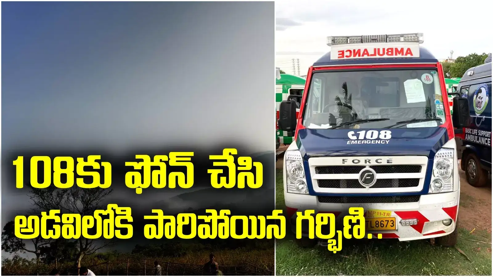 108 ఫోన్ చేసి అడవిలోకి పారిపోయిన గర్భిణి.. కారణం తెలిస్తే నోరెళ్లబెడతారు!