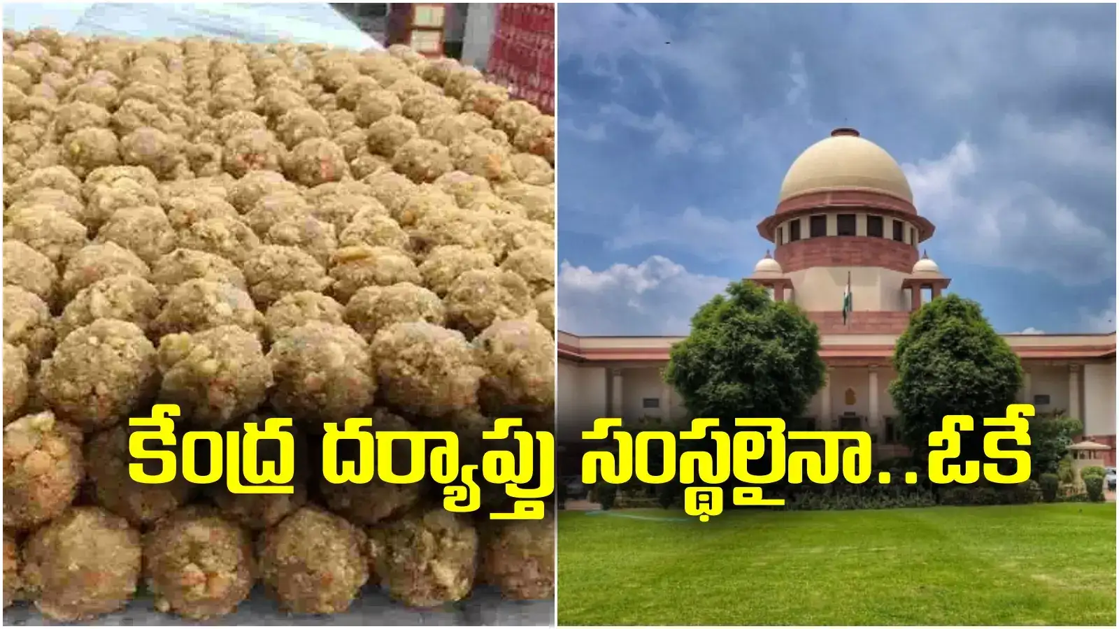 Tirumala laddu row: కేంద్ర దర్యాపు సంస్థలైనా ఓకే.. లడ్డూ వివాదంపై ఏపీ మంత్రి కీలక వ్యాఖ్యలు