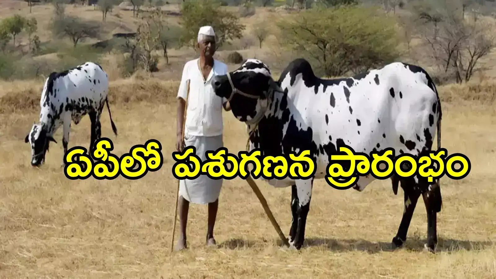 ఏపీలో పశువులున్న రైతులకు అలర్ట్.. వెంటనే ఇలా చేయండి!