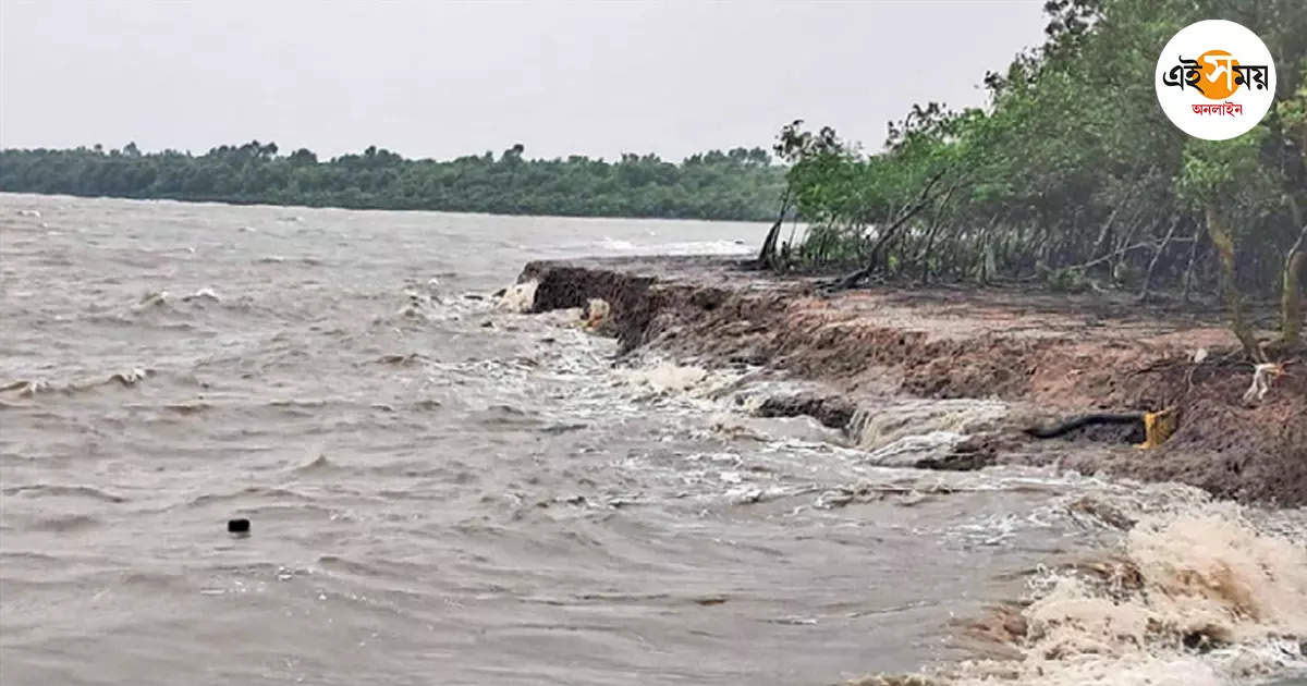 Cyclone Dana,মরা কটালে রক্ষা, দুর্যোগ মিটতেই স্বস্তি সুন্দরবনে – sundarban area naturally normal remain after cyclone dana