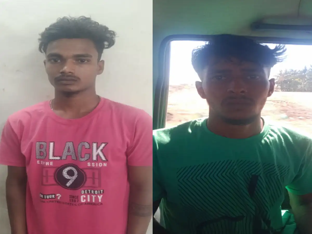 நெல்லையில் இளைஞர்கள் பயங்கரம்.. வயல்களில் நாட்டு வெடிகுண்டு வீசி சோதனை.. பீதியில் பொதுமக்கள்! 