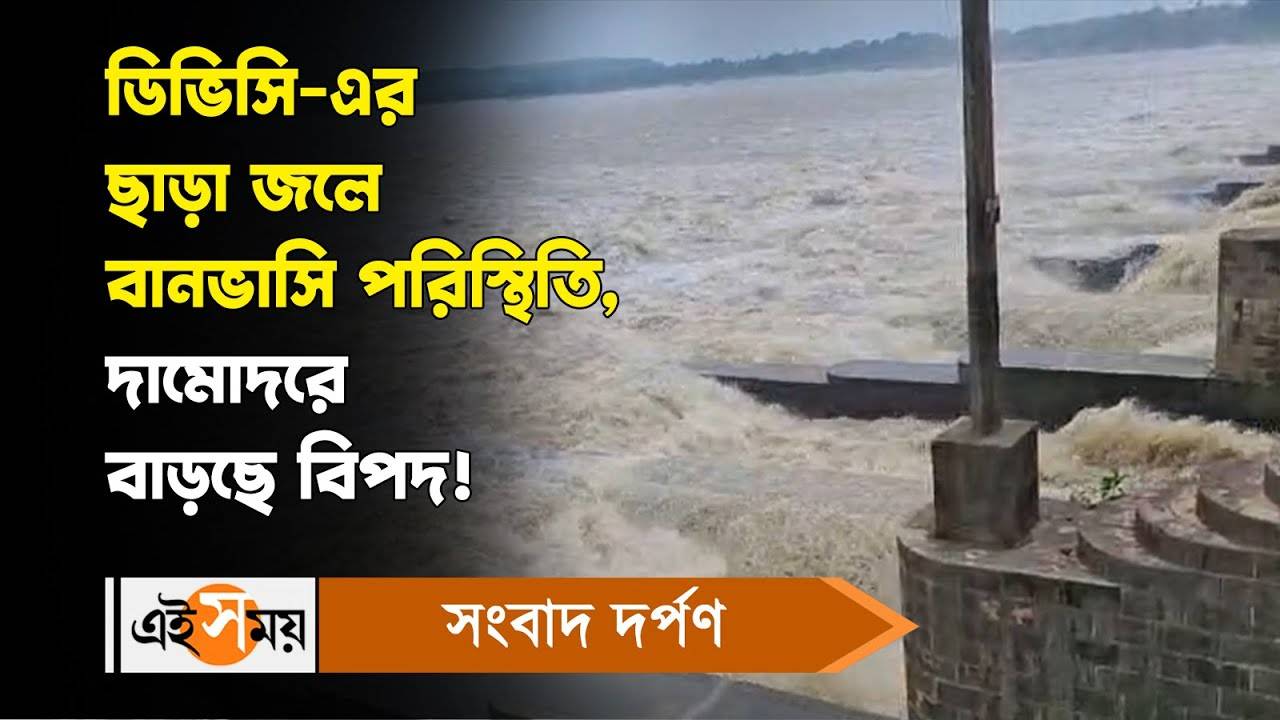 DVC Water Release : ডিভিসি-এর ছাড়া জলে বানভাসি পরিস্থিতি, দামোদরে বাড়ছে বিপদ! – water logging condition in barjora and sonamukhi of bankura after dvc released water without informing wb government watch video