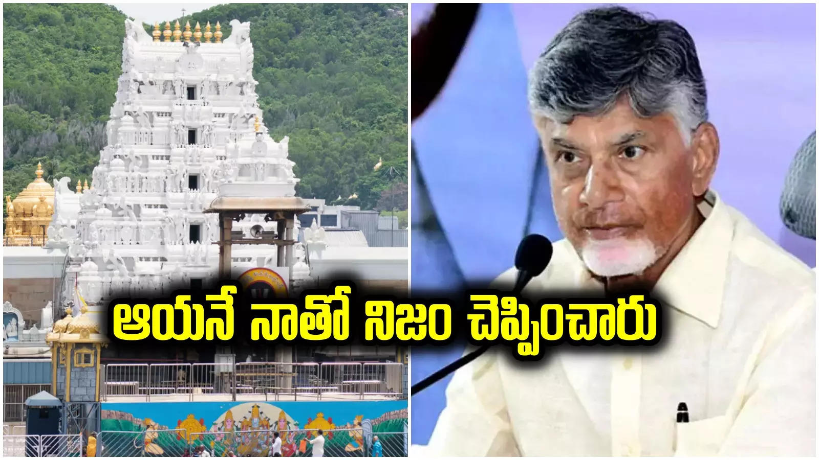 CM chandrababu: తిరుమల శ్రీవారే నాతో నిజాలు చెప్పించారు.. సీఎం చంద్రబాబు కీలక వ్యాఖ్యలు