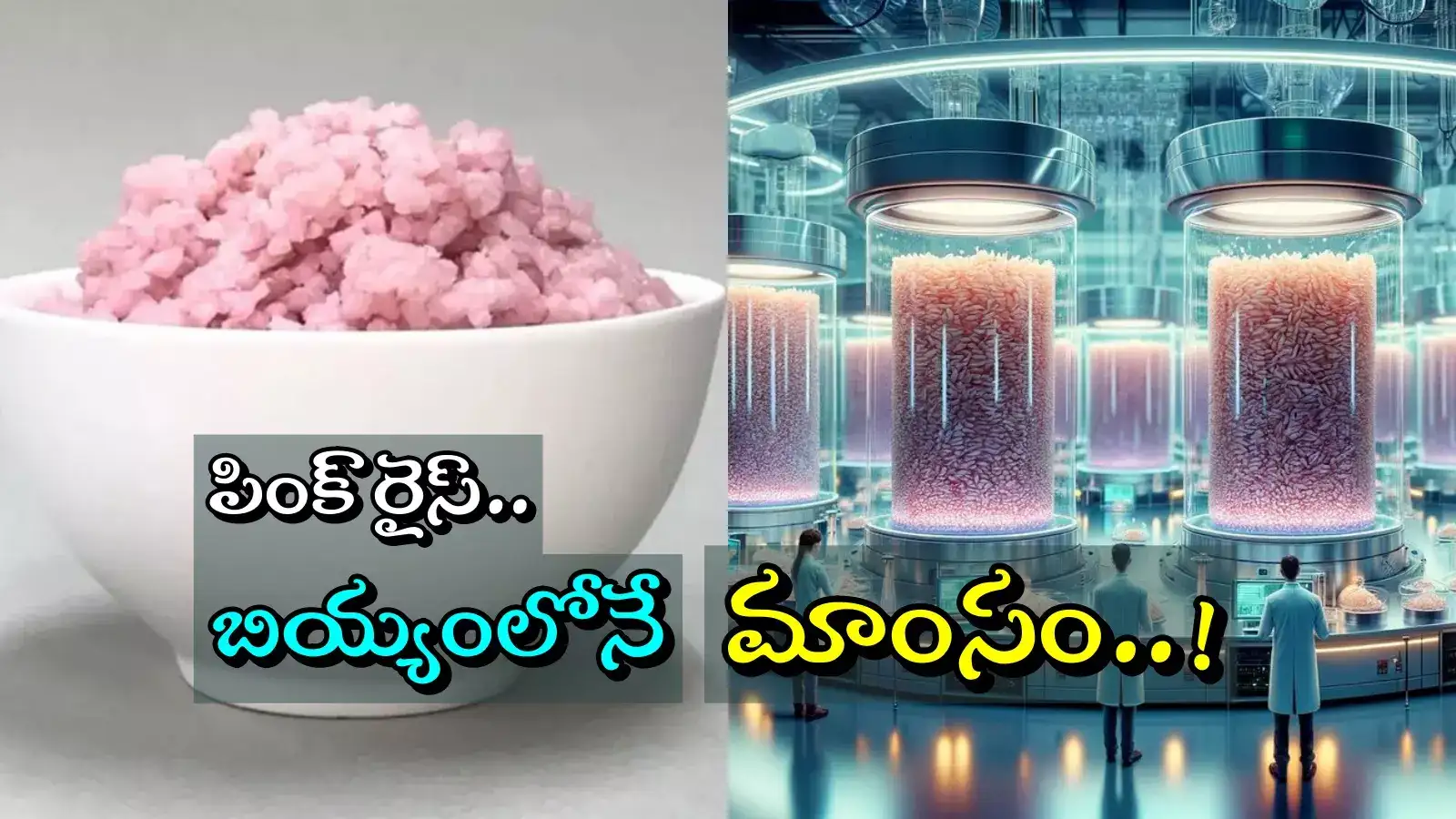 South Korea Pink Rice,Meaty Rice: కొరియా పింక్ రైస్.. ఈ అన్నం తింటే ...