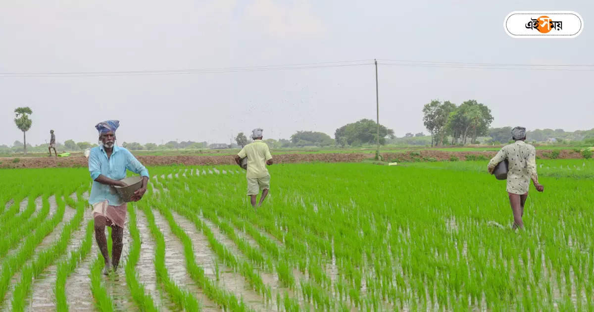 Budget 2024,দেড় লক্ষ কোটি টাকা বরাদ্দ, তবু বাজেটে হতাশ কৃষকরা – farmers disappointed with finance minister nirmala sitharaman budget