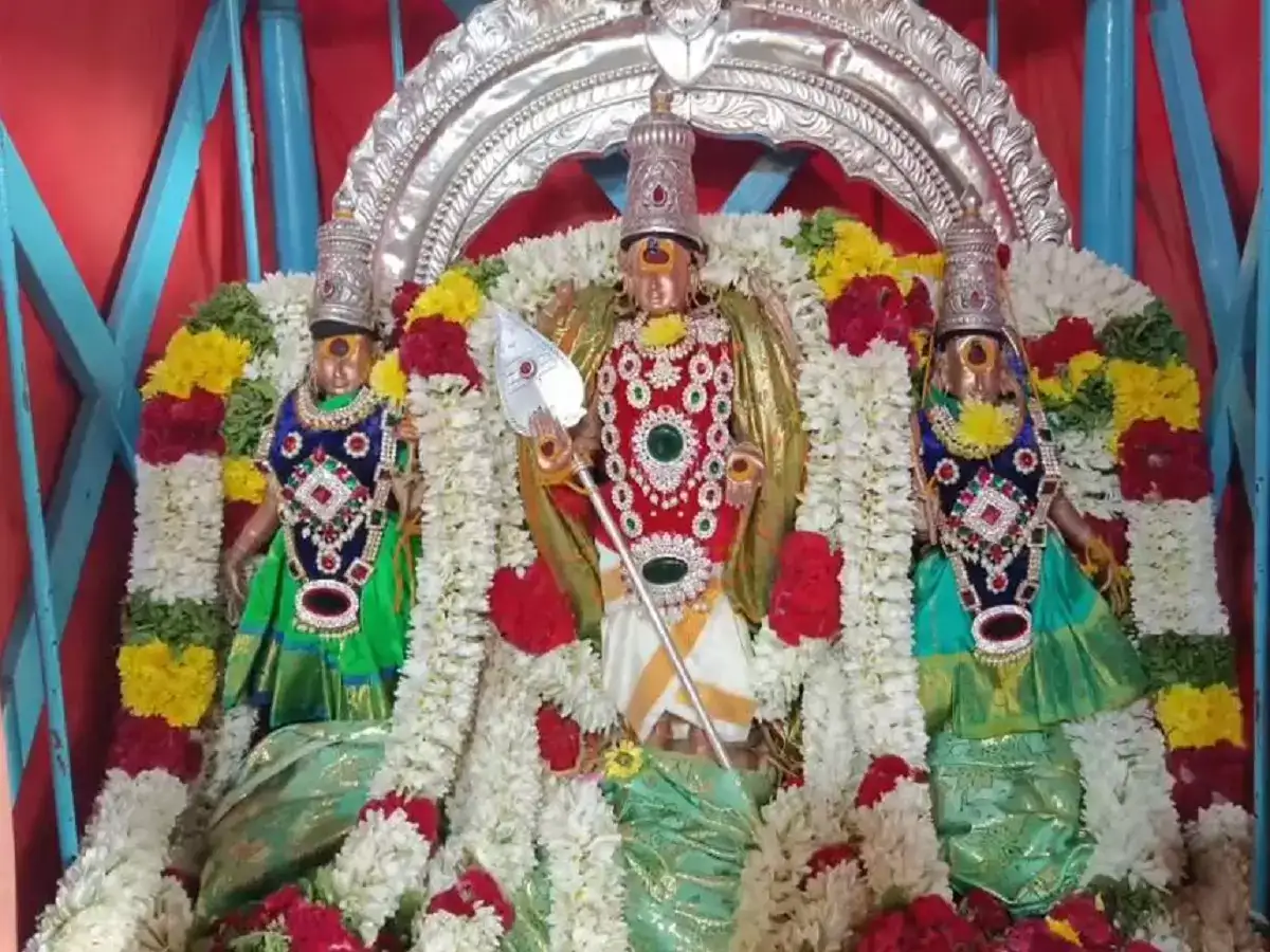 பழனி முருகன் கோவில் தைப்பூசத் திருவிழா... கோலாகலமாக துவங்கிய கொடியேற்றம்! 