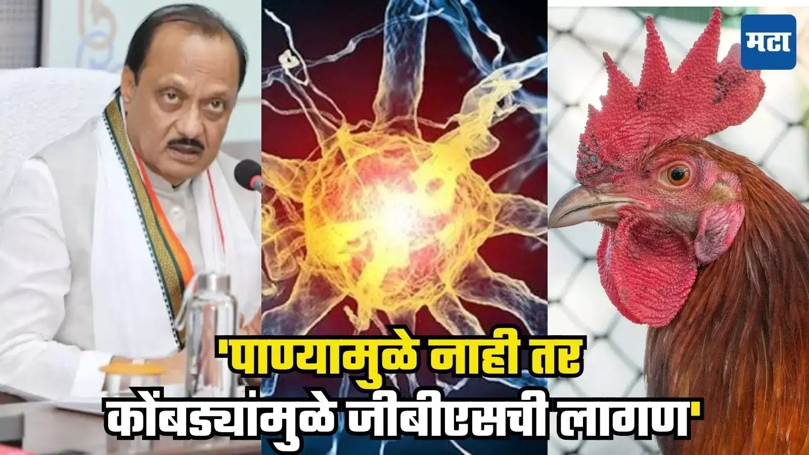 GBS : मोठी बातमी! ‘पाण्यामुळे नाही तर कोंबड्यांमुळे जीबीएसची लागण’, अजित पवार यांच्याकडून महत्त्वाची माहिती GBS : मोठी बातमी! ‘पाण्यामुळे नाही तर कोंबड्यांमुळे जीबीएसची लागण’, अजित पवार यांच्याकडून महत्त्वाची माहिती