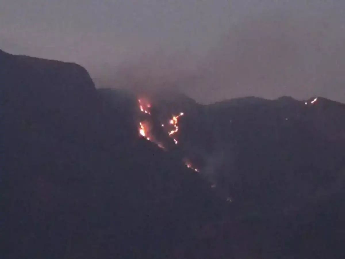 விருதுநகர்: சதுரகிரி மலையில் பற்றி எரியும் நெருப்பு - கடும் சிரமத்தை எதிர்கொள்ளும் வனத்துறையினர் 