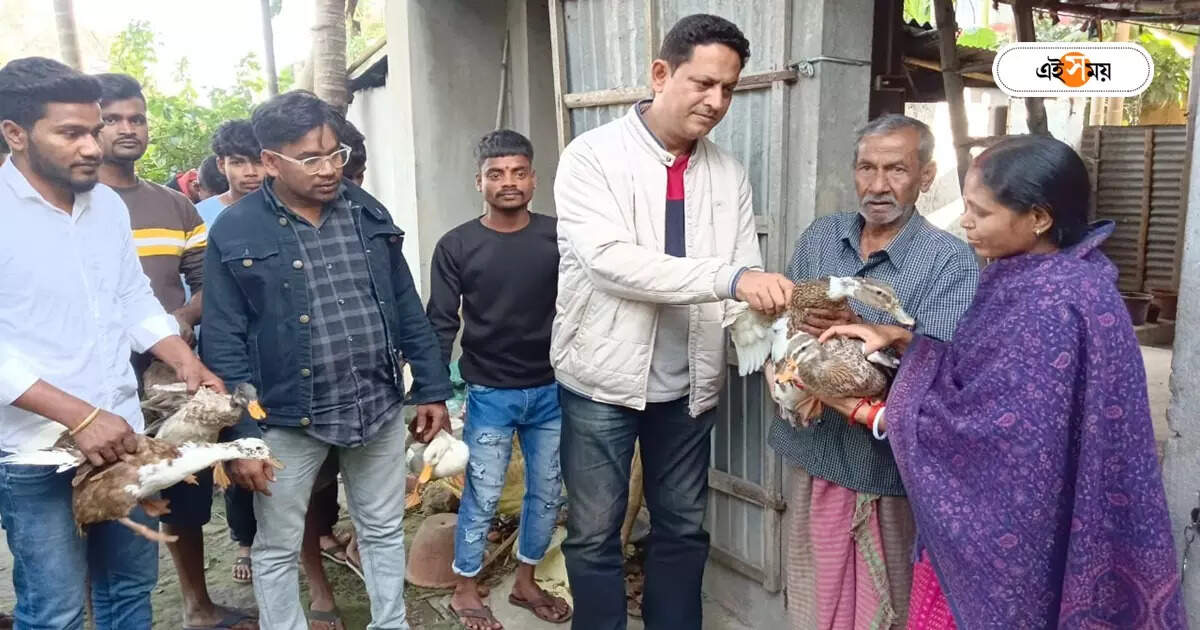 Hooghly News: হাঁস হারিয়ে বুকফাটা হাহাকার, সেই ইতিকেই বিশেষ উপহার জেলা পরিষদের কর্মাধ্যক্ষের – hooghly woman who lost her duct receive new one by district administration