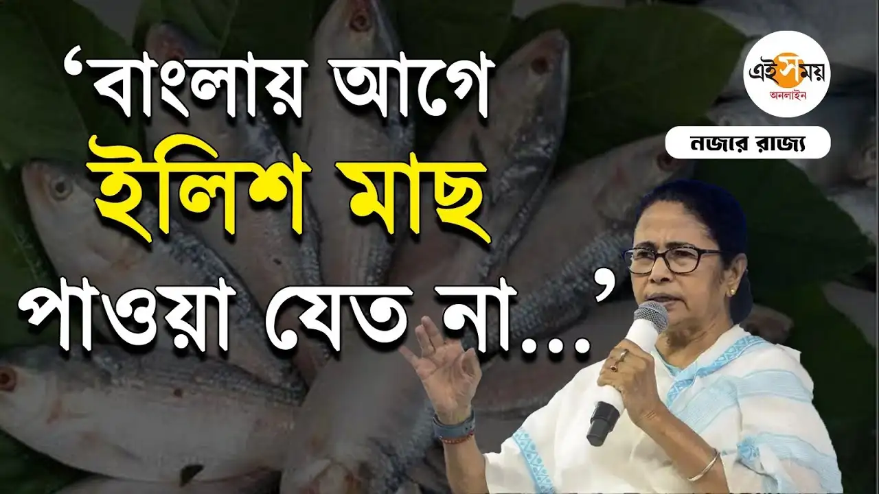 Mamata Banerjee: তৃণমূল আমলে কোন কোন ক্ষেত্রে স্বনির্ভর বাংলা, জানালেন মুখ্যমন্ত্রী – cm mamata banerjee says state government projects help to improve many things including hilsa farming watch video