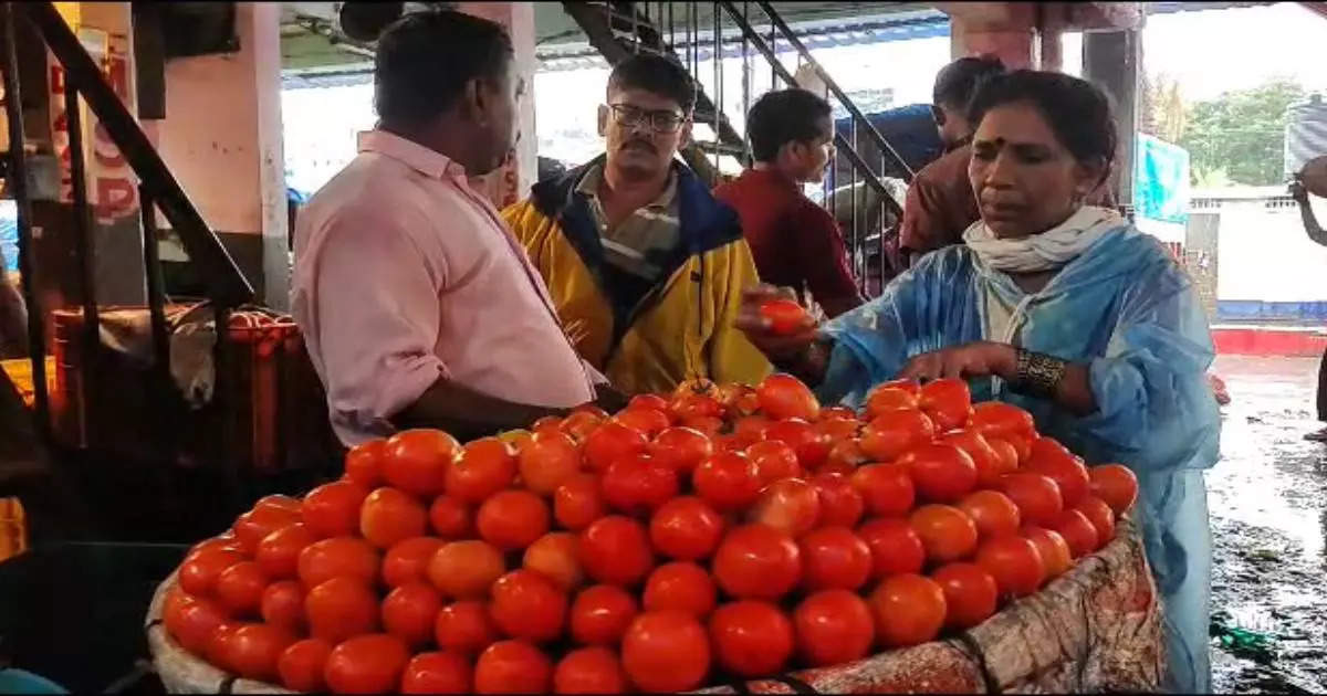 टोमॅटोच्या दराचं दीडशतक पार, बाजारात ही स्थिती किती दिवस राहणार, कृषी आयुक्तांनी दिली अपडेट