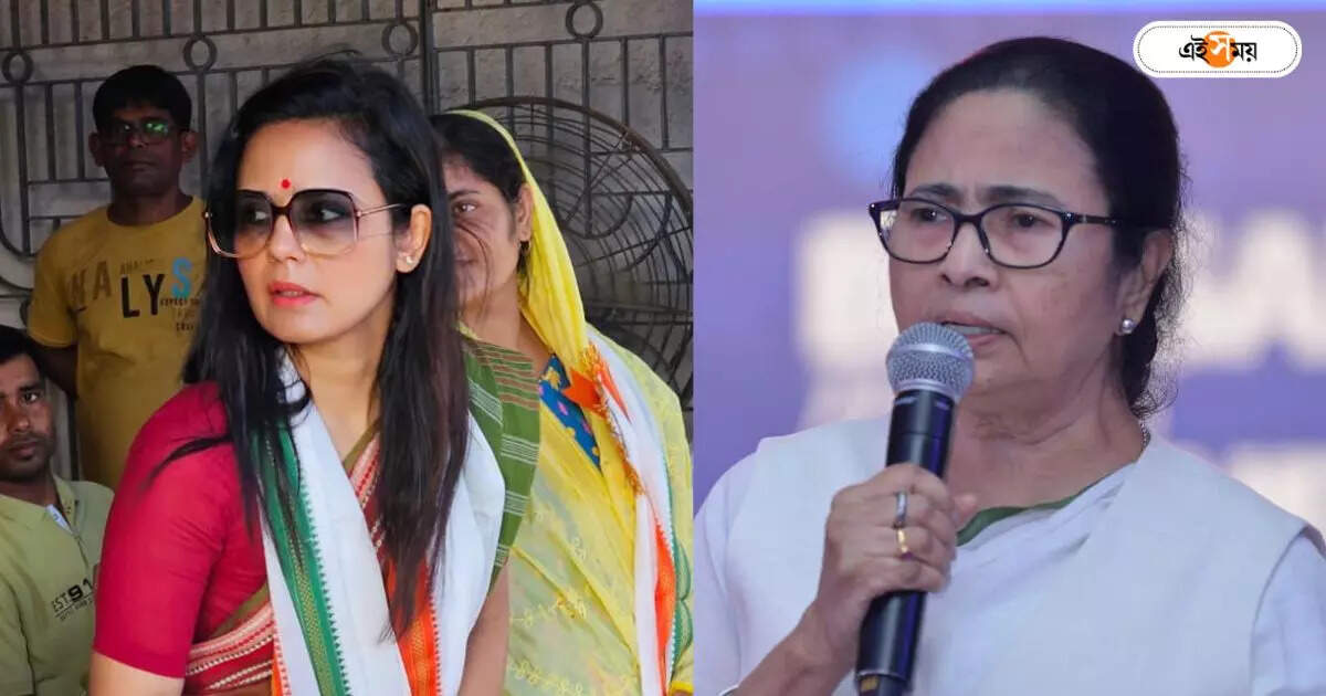 Mahua Moitra : মুখে ‘অভিষেক-বালু-ববি-রথীন’-এর নাম! মহুয়াকে নিয়ে ‘স্পিকটি নট’ মমতা – mamata banerjee trinamool congress chairman avoids mahua moitra issue on her press conference